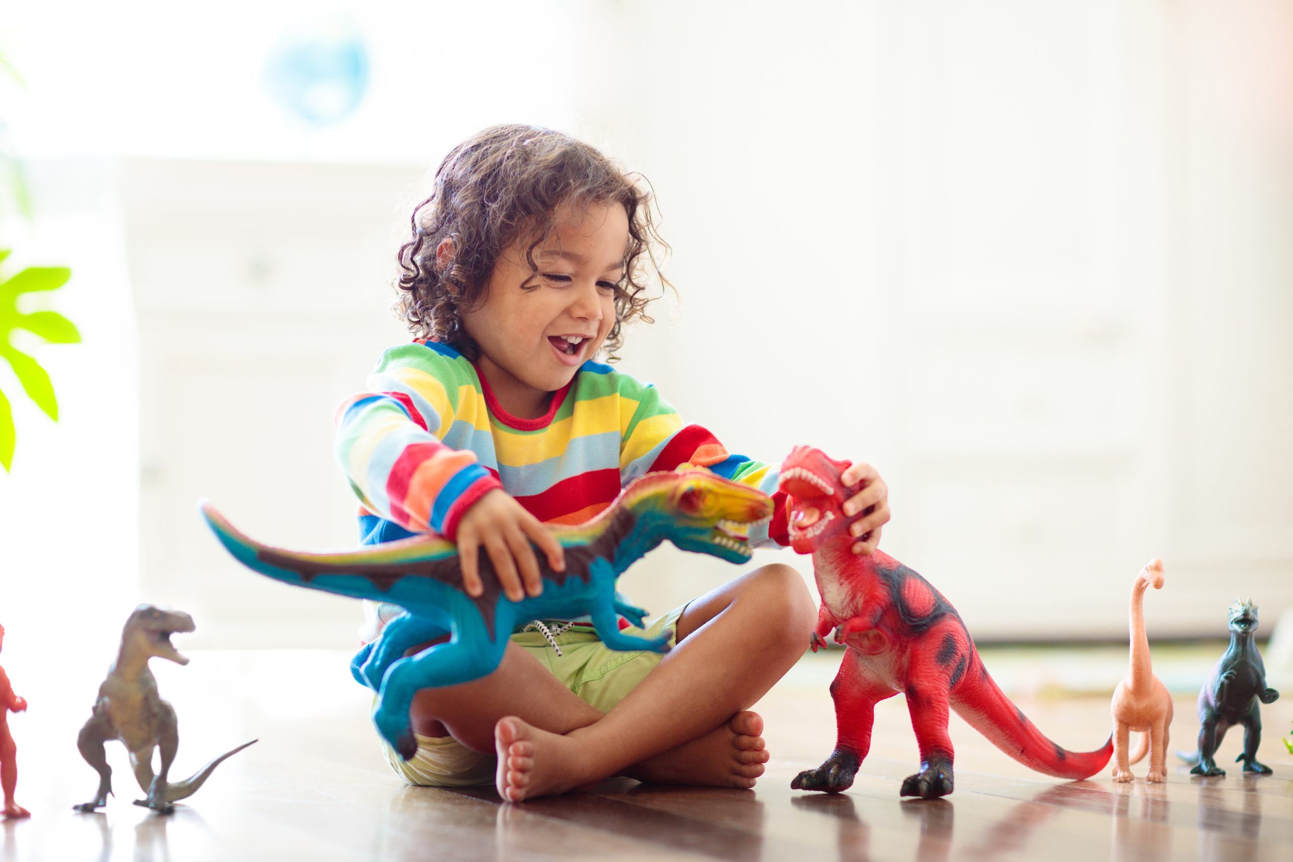 Toy Rental - Quality You Can Trust